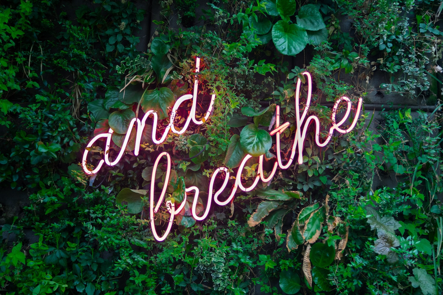 Finding Joy Through Mindful Everyday Choices